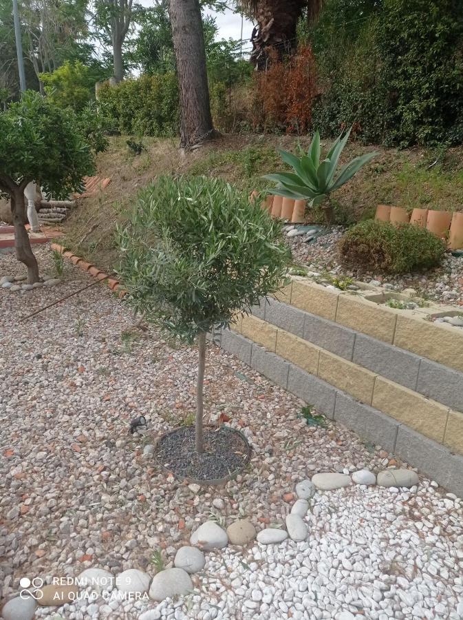 Villa Belvedere كامبوفيليتْشّي دي روتْشّي المظهر الخارجي الصورة