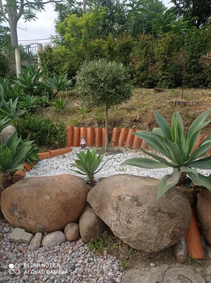 Villa Belvedere كامبوفيليتْشّي دي روتْشّي المظهر الخارجي الصورة